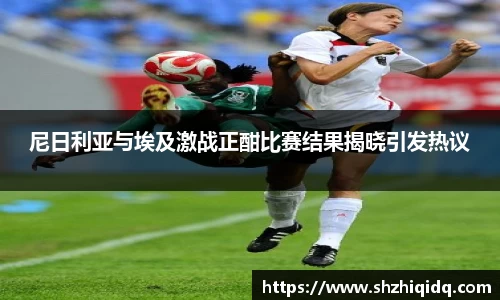 米兰尼日利亚与埃及激战正酣比赛结果揭晓引发热议