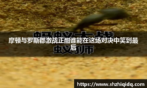 米兰摩顿与罗斯郡激战正酣谁能在这场对决中笑到最后